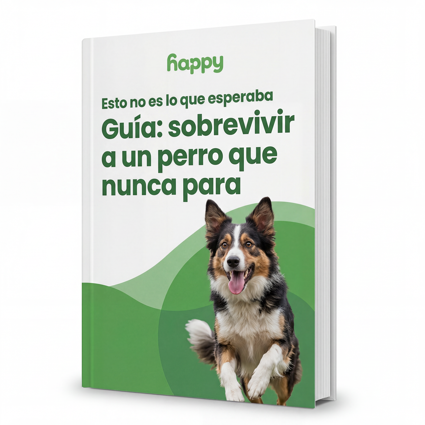 GUÍA : Sobrevivir a un perro que nunca para