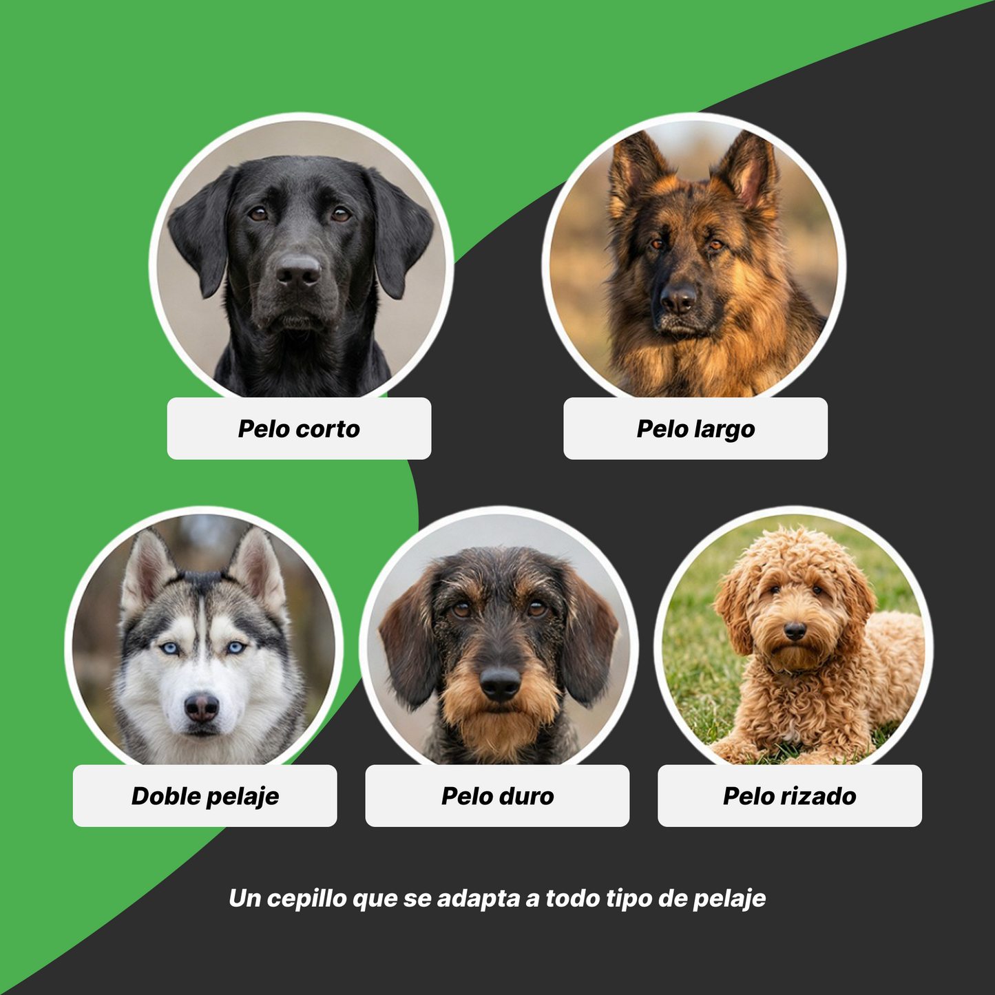 HAPPY™ | Cepillo de aseo Premium para mascotas