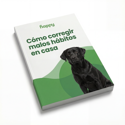 REGALO : Cómo corregir malos hábitos en casa