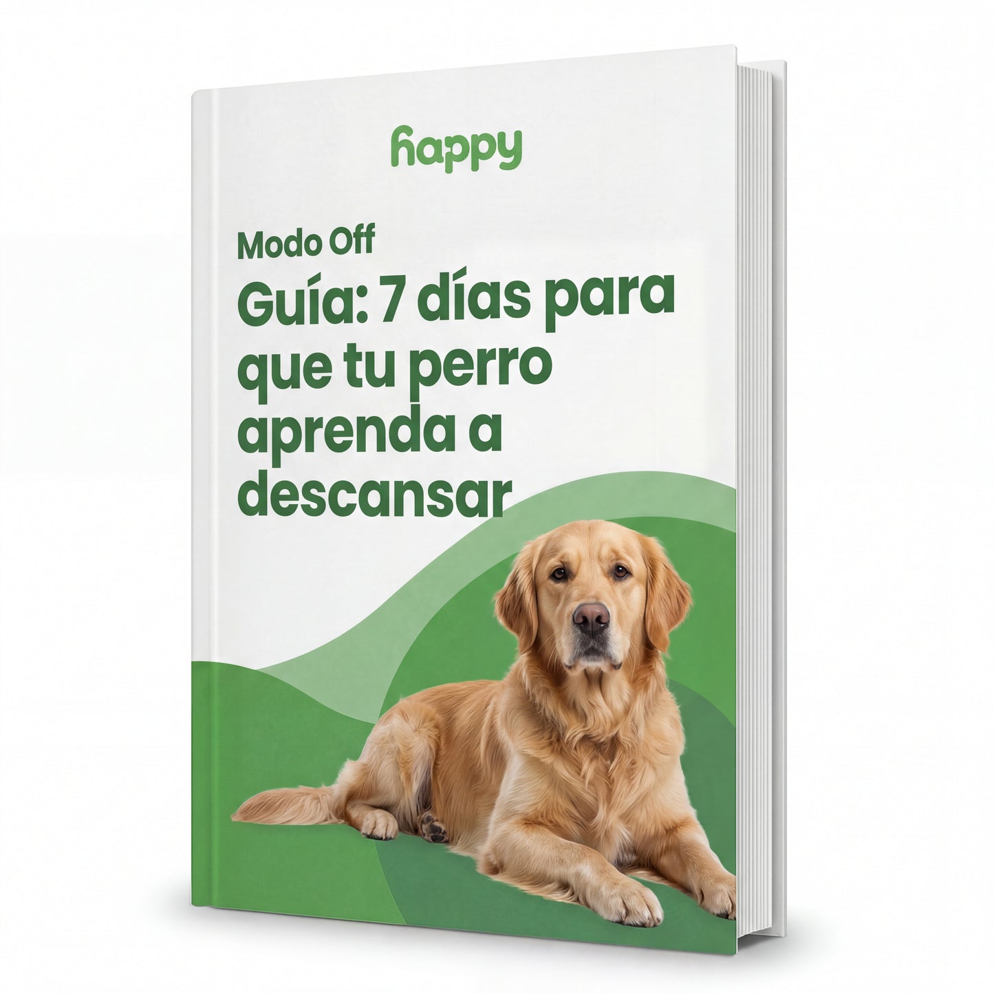 GUÍA : 7 días para que tu perro aprenda a descansar