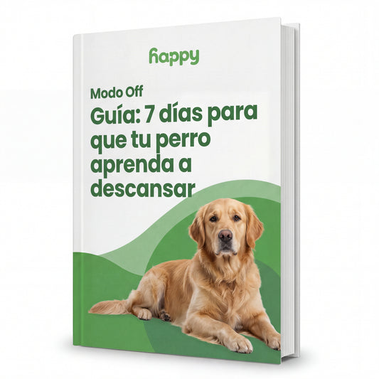 GUÍA : 7 días para que tu perro aprenda a descansar